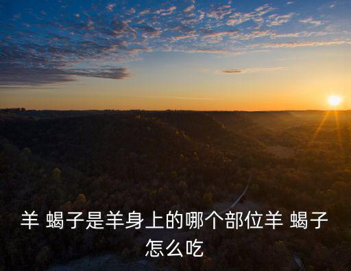 羊 蝎子是羊身上的哪個部位羊 蝎子怎么吃