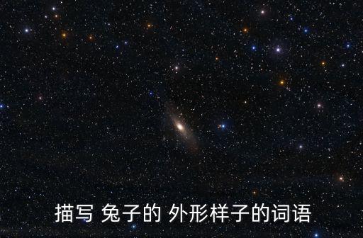  描寫 兔子的 外形樣子的詞語