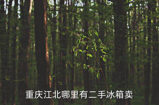 重慶江北哪里有二手冰箱賣