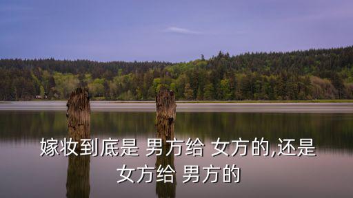 嫁妝是給男方還是女方,結(jié)婚前男方給女方一份嫁妝表示尊重