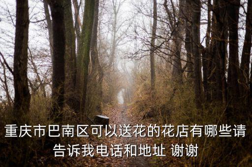 重慶市巴南區可以送花的花店有哪些請告訴我電話和地址 謝謝