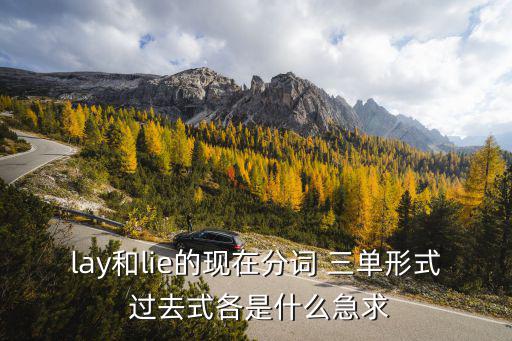 lay和lie的現在分詞 三單形式 過去式各是什么急求