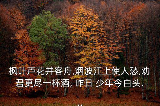 昨日少年,時光飛逝，歲月如梭曾輕佻青春已失去被時間打磨棱角
