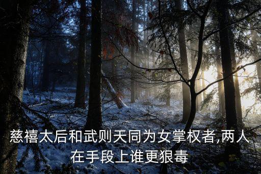 被放逐的皇后,武則天比慈禧太后狠毒但理想遠高于美人