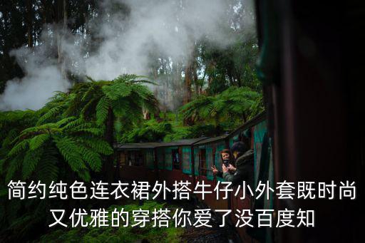 簡約純色連衣裙外搭牛仔小外套既時尚又優雅的穿搭你愛了沒百度知