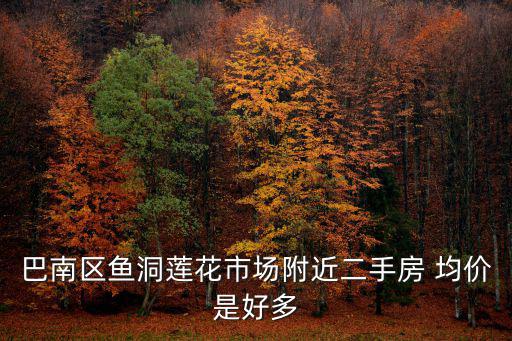 巴南區魚洞蓮花市場附近二手房 均價是好多