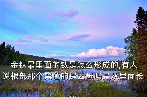  金鈦晶里面的鈦是怎么形成的,有人說根部那個黑色的是云母嗎是從里面長...