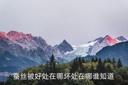 蠶絲被的好處與缺點，蠶絲被好處在哪壞處在哪誰知道