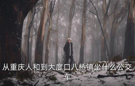 從重慶人和到大度口八橋鎮坐什么公交車
