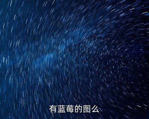 有藍(lán)莓的圖么