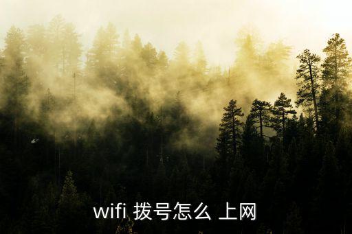 wifi 撥號怎么 上網