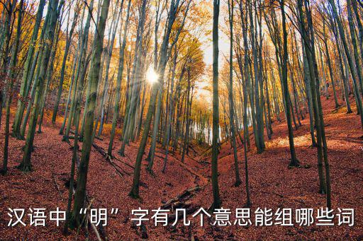 明的意思,明天的時(shí)間詞是明智的,明亮的