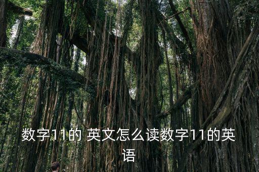 數字11的 英文怎么讀數字11的英語