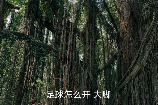 開大腳,首次開大腳我國男子可以一腳踢中三個球