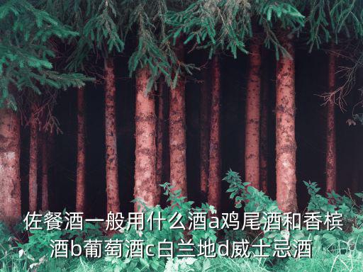  佐餐酒一般用什么酒a雞尾酒和香檳酒b葡萄酒c白蘭地d威士忌酒