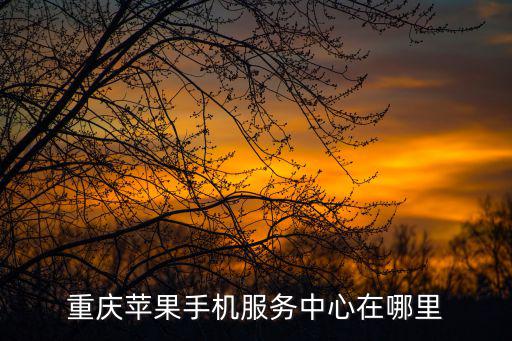 重慶蘋果手機服務中心在哪里
