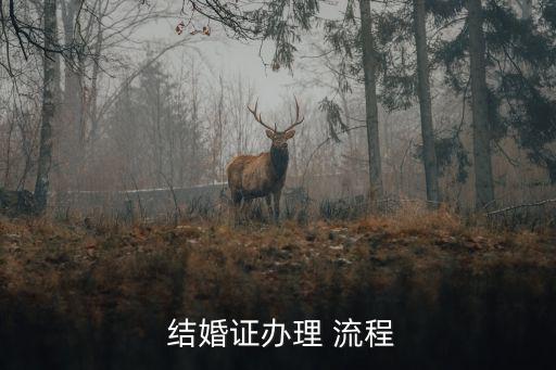 辦結(jié)婚證流程,民法典:已婚男女雙方親自到婚姻登記處申請結(jié)婚