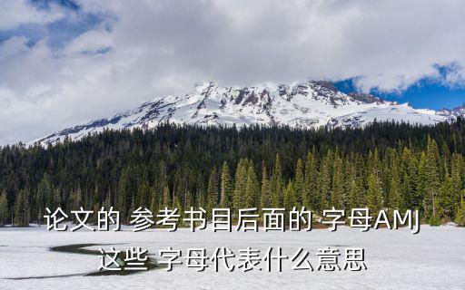 論文的 參考書目后面的 字母AMJ這些 字母代表什么意思