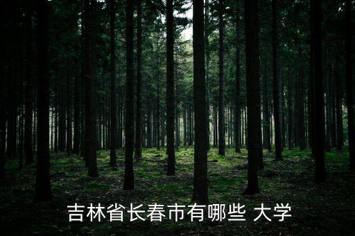  吉林省長春市有哪些 大學