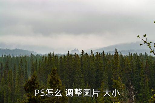 PS怎么 調整圖片 大小