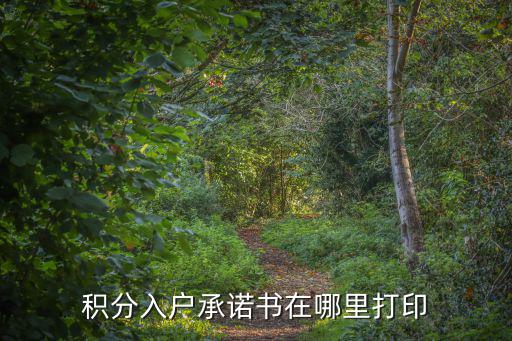 積分入戶承諾書在哪里打印