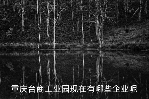 重慶臺商工業園現在有哪些企業呢