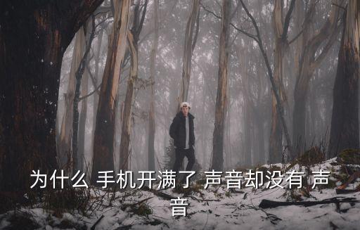 為什么 手機開滿了 聲音卻沒有 聲音