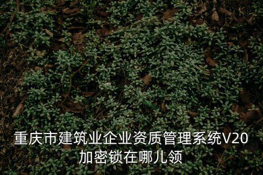 重慶市建筑業企業資質管理系統V20加密鎖在哪兒領