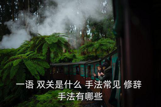 一語 雙關是什么 手法常見 修辭 手法有哪些