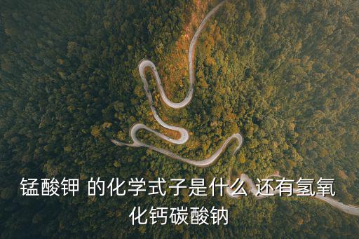 錳酸鉀 的化學式子是什么 還有氫氧化鈣碳酸鈉