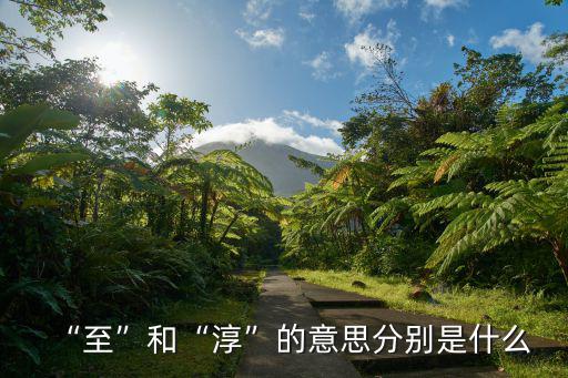 淳的意思,第一集:選擇自由與機會