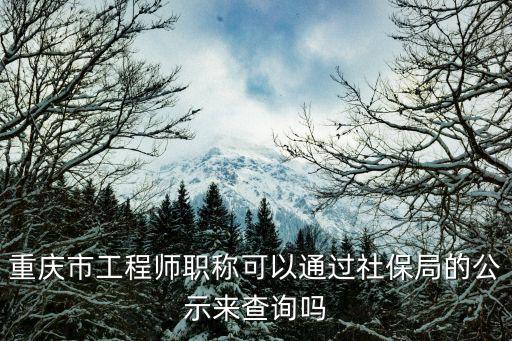 重慶市工程師職稱可以通過社保局的公示來查詢嗎