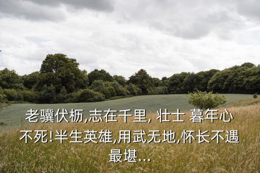 老驥伏櫪,志在千里, 壯士 暮年心不死!半生英雄,用武無地,懷長不遇最堪...
