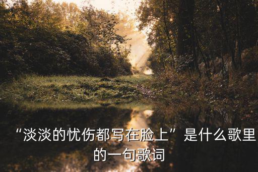 “淡淡的憂傷都寫在臉上”是什么歌里的一句歌詞