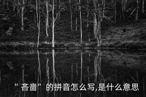 “ 吝嗇”的拼音怎么寫,是什么意思
