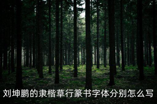 劉坤鵬的隸楷草行篆書字體分別怎么寫