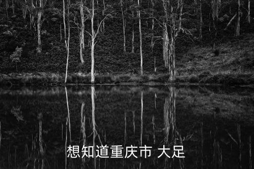 想知道重慶市 大足