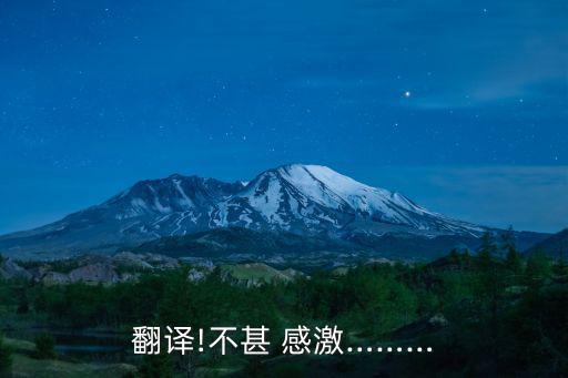 翻譯!不甚 感激………