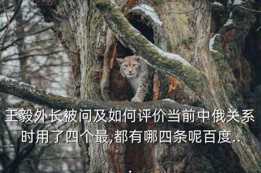 王毅外長被問及如何評價當前中俄關系時用了四個最,都有哪四條呢百度...