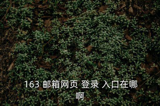  163 郵箱網(wǎng)頁(yè) 登錄 入口在哪啊