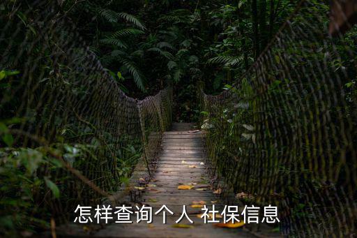 怎樣查詢個人 社保信息