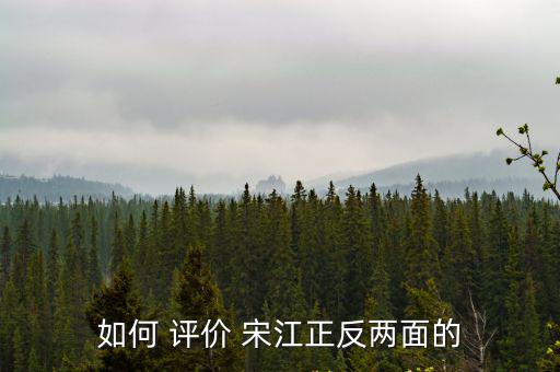 宋江評價,宋江被金圣嘆評為下等人自知之明
