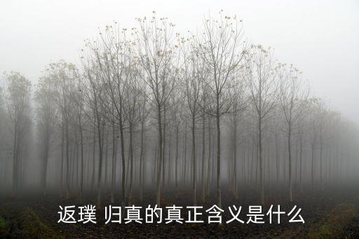 歸真返璞,返璞歸真引申含義:回到最初單純真實狀態(tài)