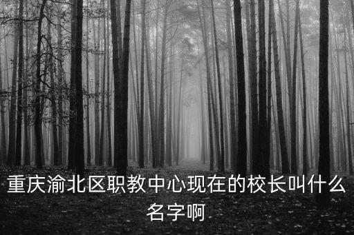 重慶渝北區職教中心現在的校長叫什么名字啊