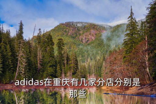 adidas在重慶有幾家分店分別是那些