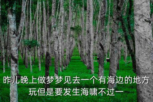 昨兒晚上做夢夢見去一個(gè)有海邊的地方玩但是要發(fā)生海嘯不過一