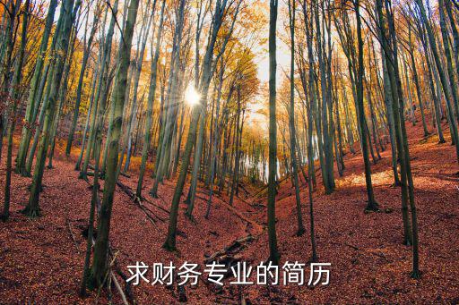 財務簡歷，求財務專業的簡歷
