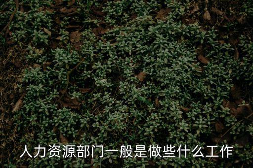 人力資源部門一般是做些什么工作