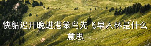 快船遲開(kāi)晚進(jìn)港笨鳥(niǎo)先飛早入林是什么意思