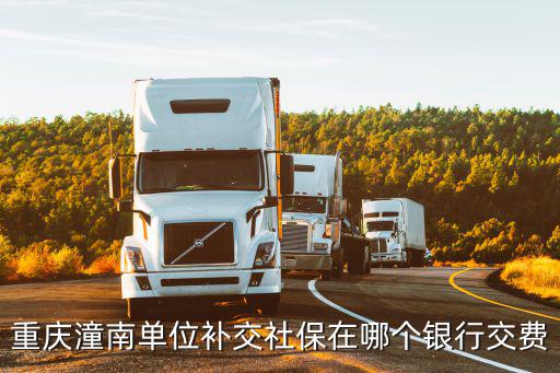 重慶市潼南區玉溪鎮社保，重慶潼南單位補交社保在哪個銀行交費